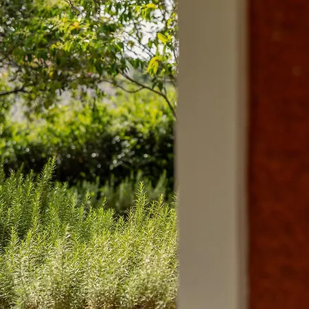Villehardouin Farm Estate, & Apartments, Minia, Kefalonia 4* Argostoli (Kefalonia)