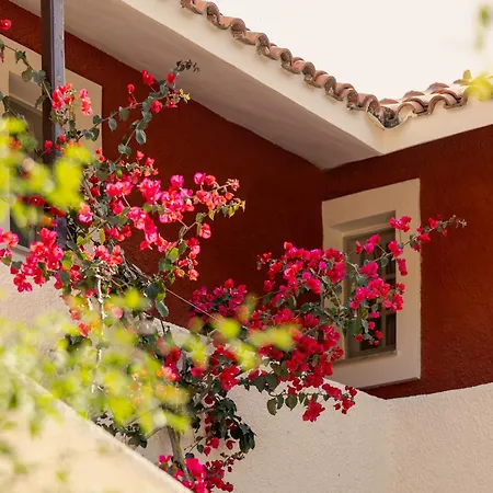 מלון דירות Villehardouin Farm Estate, & Apartments, Minia, Kefalonia 4*
