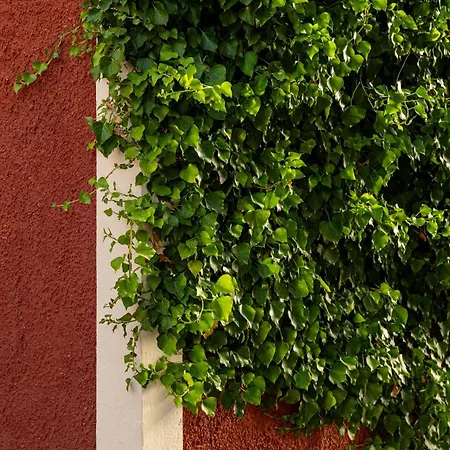 Villehardouin Farm Estate, & Apartments, Minia, Kefalonia Апарт-отель