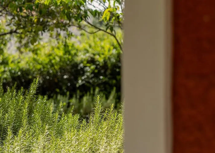 Villehardouin Farm Estate, & Apartments, Minia, Kefalonia 4* Argostoli (Kefalonia)