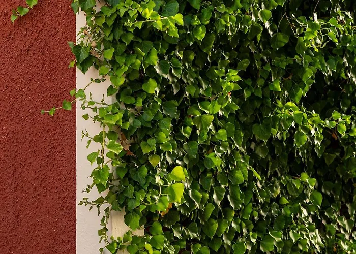 Villehardouin Farm Estate, & Apartments, Minia, Kefalonia Aparthotel